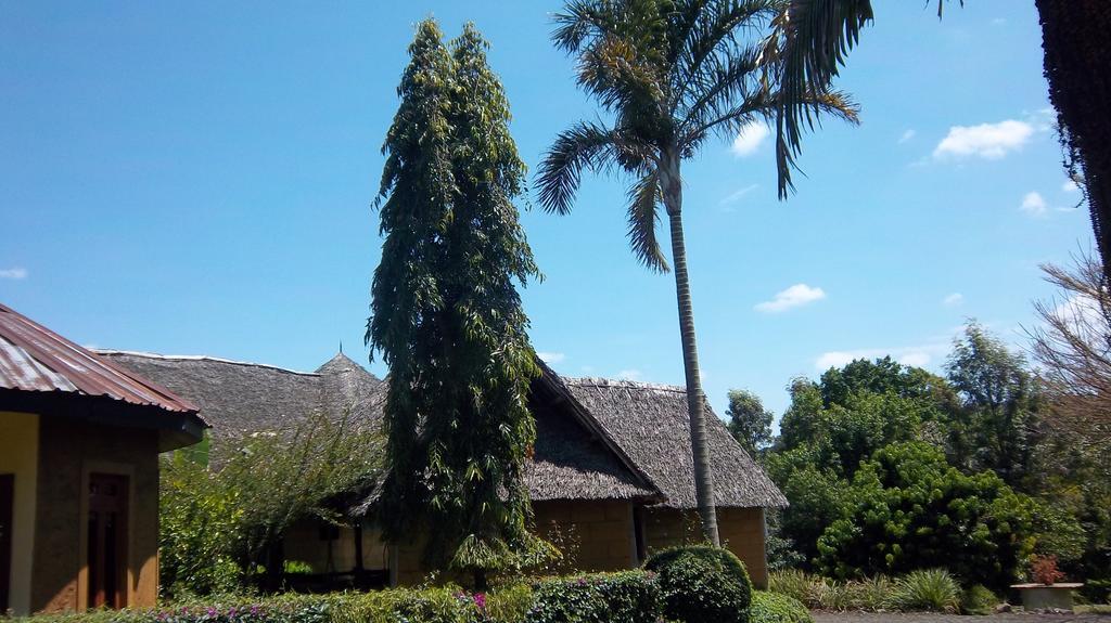 Kilimanjaro Eco Lodge Usa River エクステリア 写真