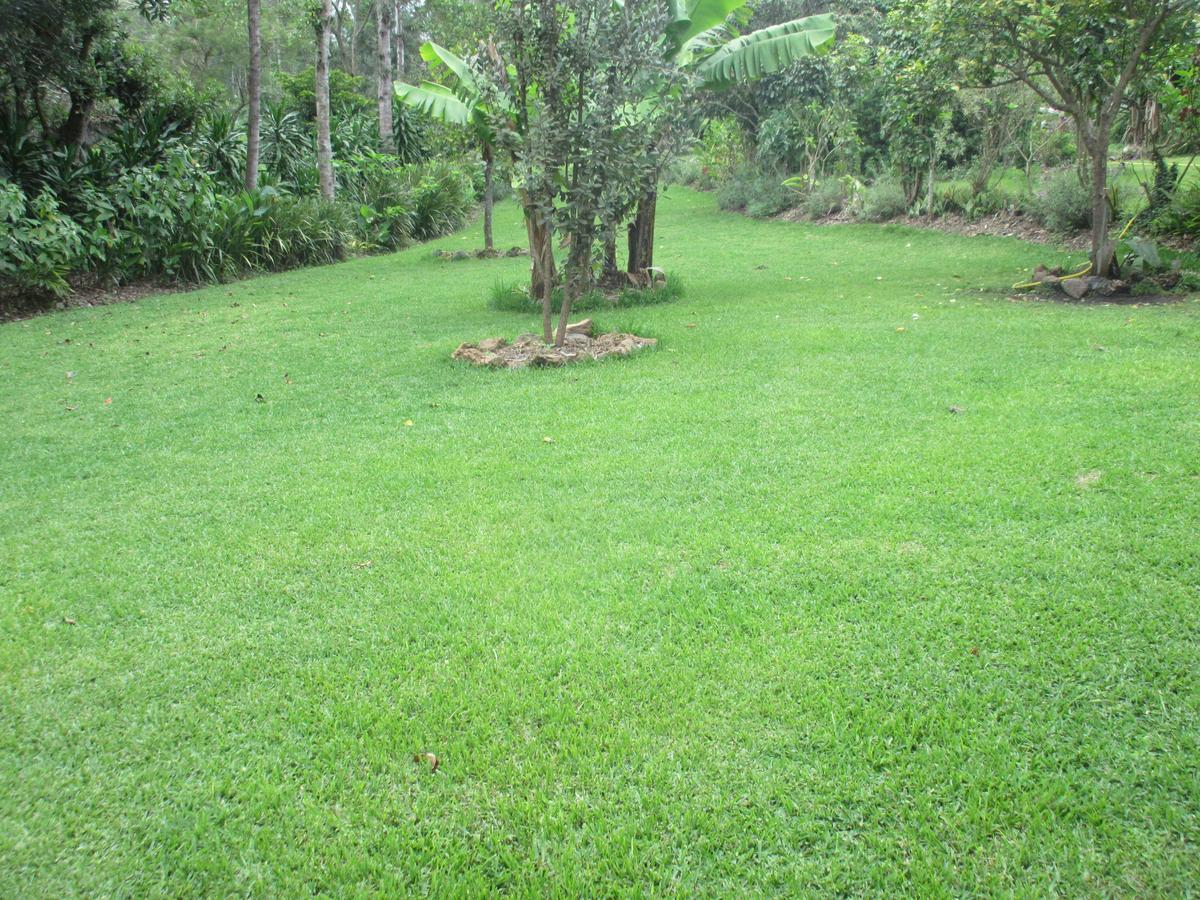 Kilimanjaro Eco Lodge Usa River エクステリア 写真