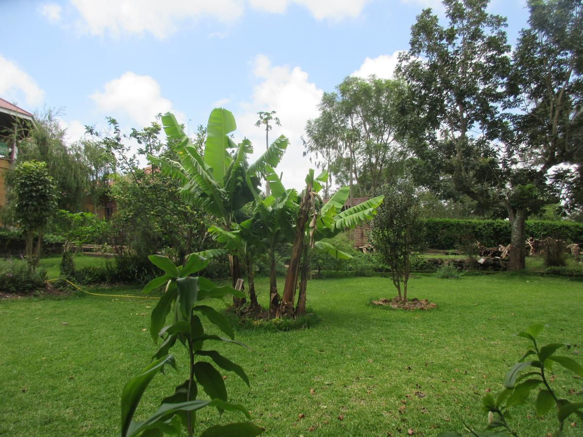 Kilimanjaro Eco Lodge Usa River エクステリア 写真